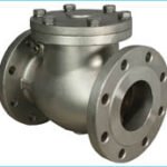 Non return valve swing flange end